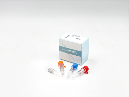 Coxsackievirus A6 and A10 Real-Time PCR Kit