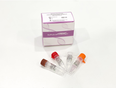Neisseria Gonorrhoeae/Chlamydia Trachomatis/U. Urealyticum Real Time PCR Kit
